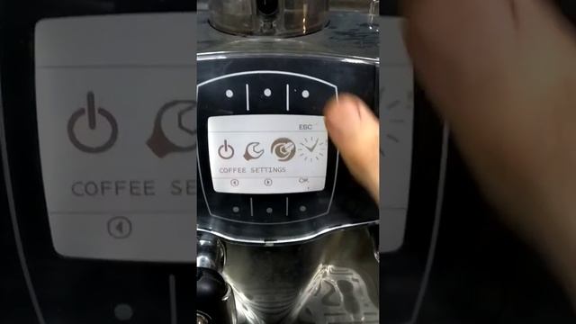 Saeco Sirius Incanto инструкция просто