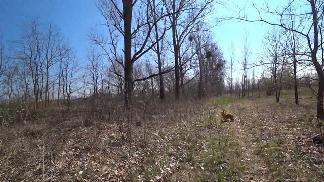 В поисках крапивы. Родники. Краснодарский край смотреть онлайн