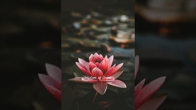 The Prajnaparamita Mantra смотреть онлайн