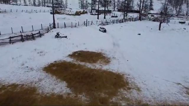 Продаю маральник в Горном Алтае. +7 903 949 5791 смотреть онлайн