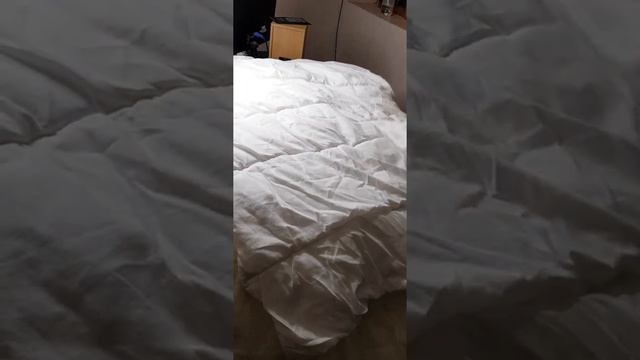 ❌Ковдри,одіяла/Вага 20.3кг/Польща смотреть онлайн