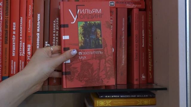 тур по книжным полкам смотреть онлайн