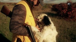 Охота на куропатку и вальдшнепа в республике Крым // Спутники охотника // Серия 2