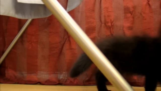 Малявка Шерман смотреть онлайн