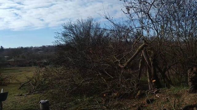 Немного о делах и о ракии... смотреть онлайн