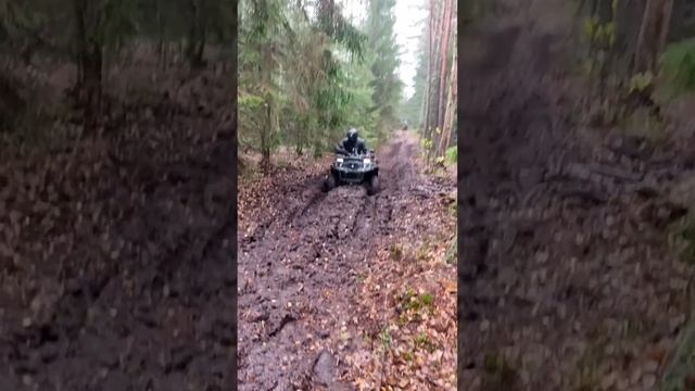 Odes Assailant 800 and Polaris Scrambler 1000 смотреть онлайн