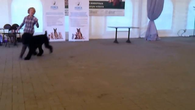 07.09.14г. "Созвездие" Москворечье Макар 9,5 мес тренировка смотреть онлайн