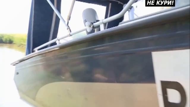 Охота на болотно-луговую дичь с пойнтером . 2018 смотреть онлайн