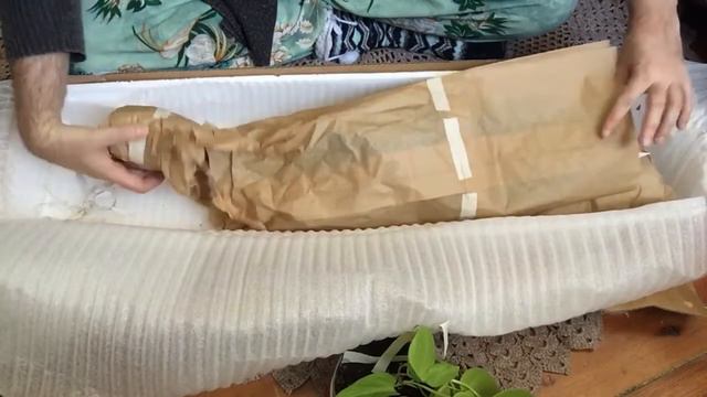 Anthurium Regal, Magnificum, Pallidiflorum And Forgetii