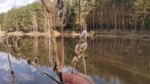 Хитрости нашей рыбалки. 21 апреля 2024