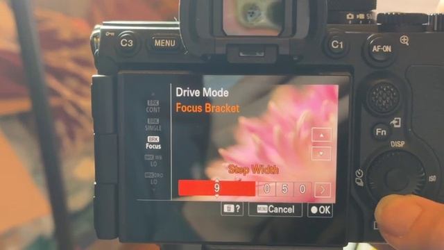 Focus stacking for macro on the Sony A7RV смотреть онлайн