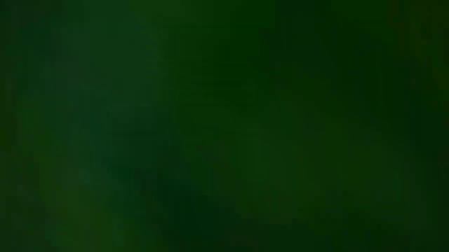 Кошка поймала мышь смотреть онлайн