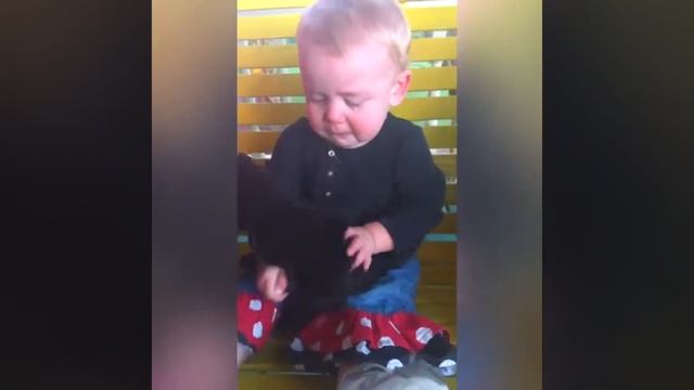 Коты и дети. Подборка #1 смотреть онлайн