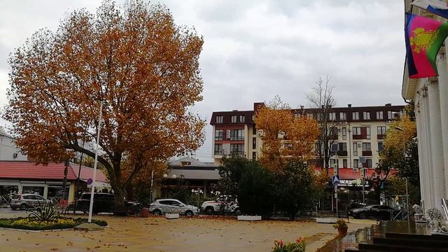 Величественные платаны. смотреть онлайн