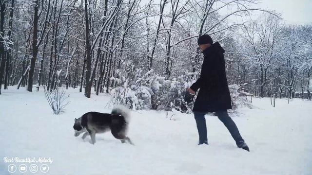Спокойная Музыка Для Снятия Стресса! Волшебная музыка зимы! Красивая мелодия до слёз! #2 смотреть онлайн