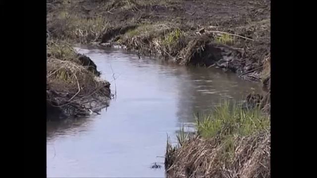 Илья Муромец шел тропою карачевской смотреть онлайн