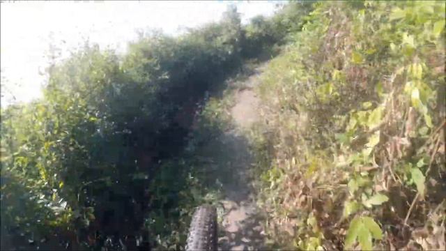 MTB CHOLOMA смотреть онлайн