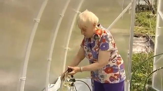 Томаты без полива Огород без хлопот смотреть онлайн