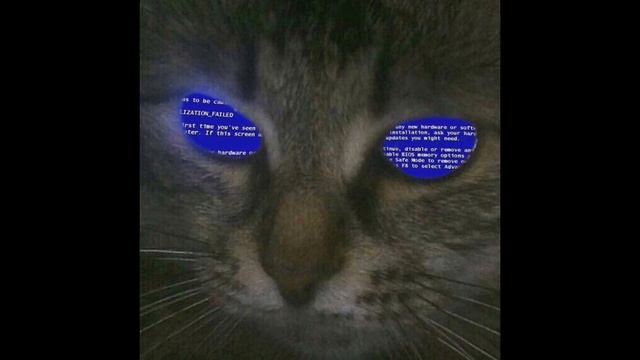Kitty City By Cyriak Harris (extra Slowed+reverb)