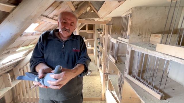 Ellenbach László смотреть онлайн