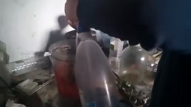 Рецепт фреша смотреть онлайн