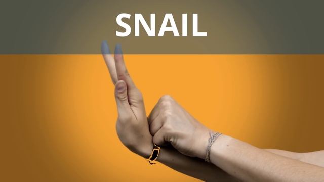 How to make Shadow Animals with your Hands смотреть онлайн