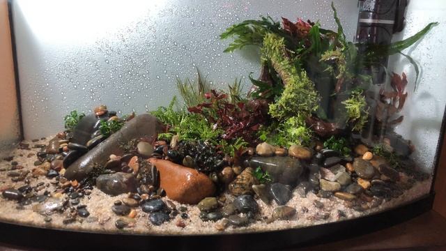 Оформление аквариума AQUAEL  54 литра.