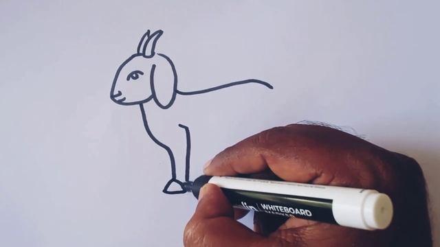 How to draw a Goat easy step by step /Easy animal drawing смотреть онлайн