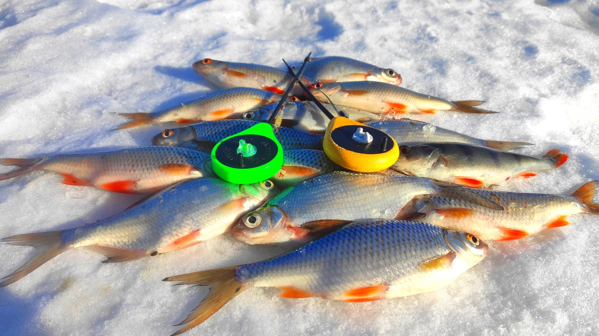 ПОДЛЕЩ не клюёт-ловим ПЛОТВУ и ГУСТЕРУ. Рыбалка на ОЗЕРНЕ в середине марта. смотреть онлайн