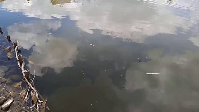 Рыбалка во Флоре, Генгорка смотреть онлайн