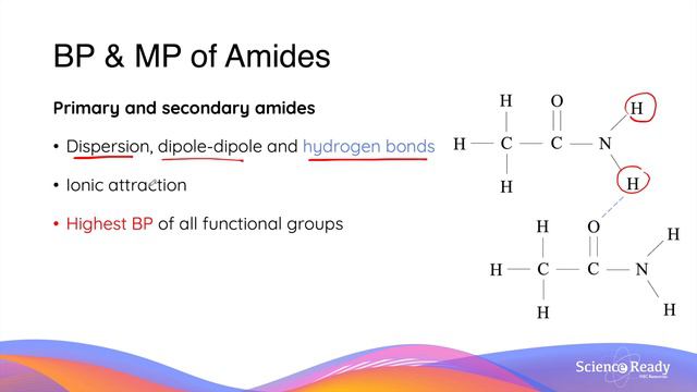 Amides: Structure And Properties // HSC Chemistry