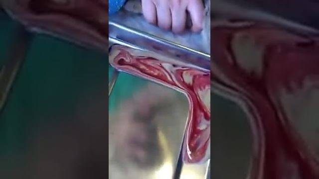 Абцесс у кота. смотреть онлайн