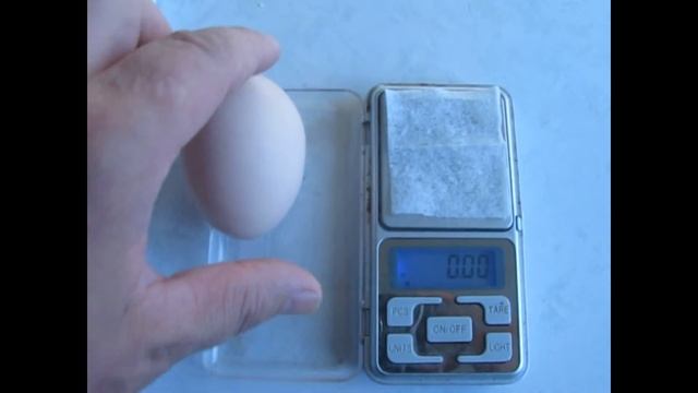 Вес яйца кур Джерсийского Гиганта Новый рекорд Отбор на вес яйца дает о себе знать смотреть онлайн