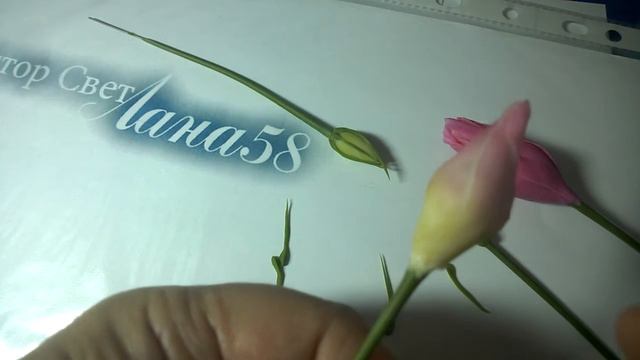 МК. Лепим чашелистик Эустомы WP 20161114 009 смотреть онлайн