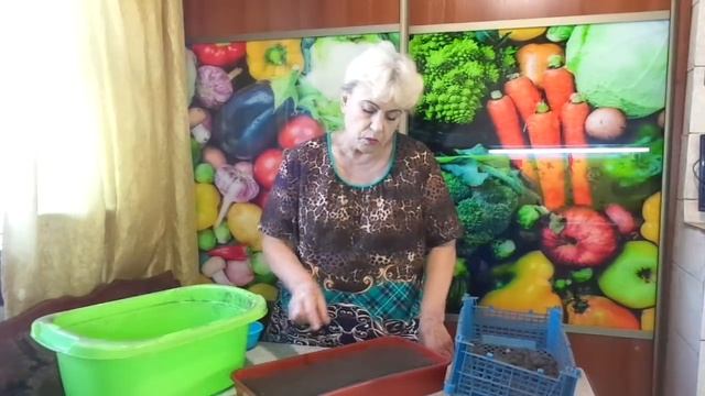 ПОСЕВЫ 2019. ПОДГОТОВКА ГРУНТА. Ольга Чернова. смотреть онлайн