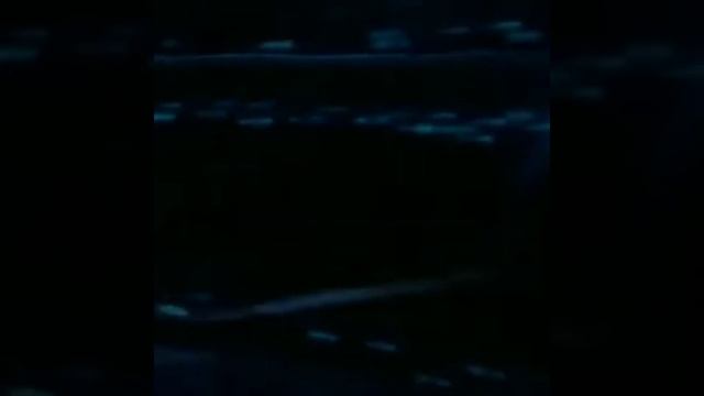 Electric Eel Attack। Electric Eel।#eelfish #shorts смотреть онлайн