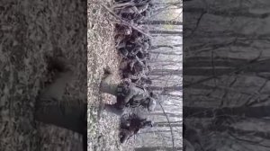 ВСРФ Молитва БОЙЦОВ перед боем