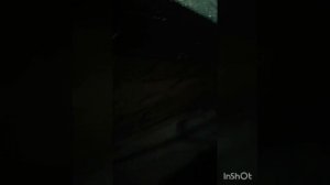 датчики абс прицэп SCHMITZ.