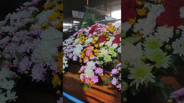 Призрачный пончик: Как я чуть не лоханулась на рынке смотреть онлайн