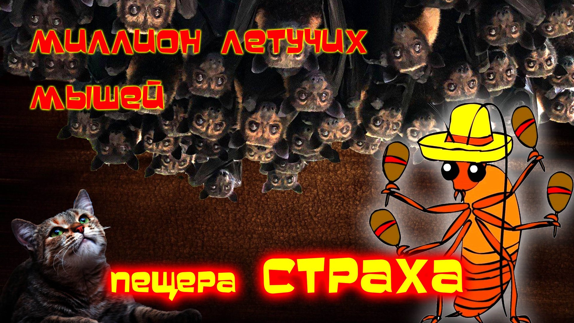 Пещера СТРАХА миллион МЫШЕЙ Тайланд смотреть онлайн