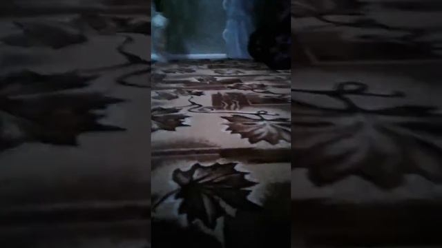 Вызов Сладкого гнома смотреть онлайн