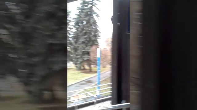 Приезд по электронной записи по талонам с сайта nalog.ru в ИФНС 29. Адреса налоговой 29. смотреть онлайн