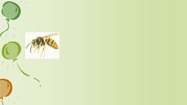 Логопедическое занятие "Слоговой анализ слов", 2 класс (Баландина Н.А.) смотреть онлайн