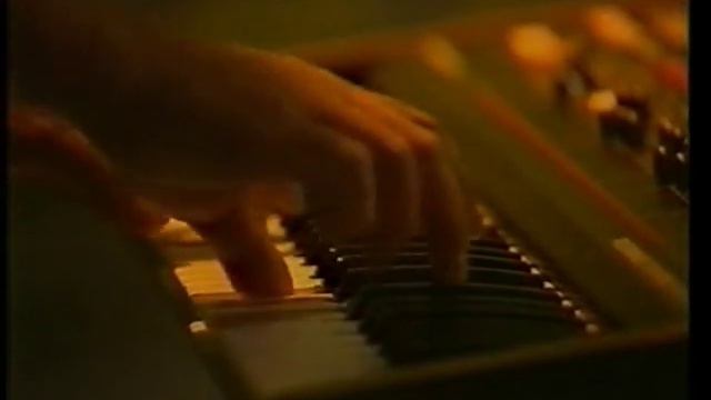 THE BELLAMY BROTHERS "If I Said You Had A Beautiful Body" смотреть онлайн