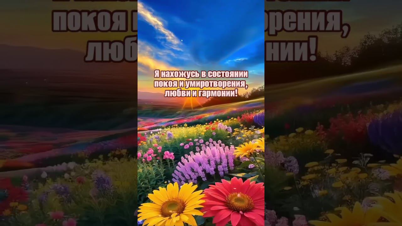 Я нахожусь в состоянии любви и гармонии #аффирмации #любовь#жизнь #изобилие#душа #богатство#love смотреть онлайн