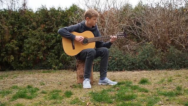 I Don’t Wanna Live Forever - guitar fingerstyle + TABS смотреть онлайн