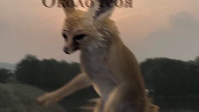 Wcmv около тебя