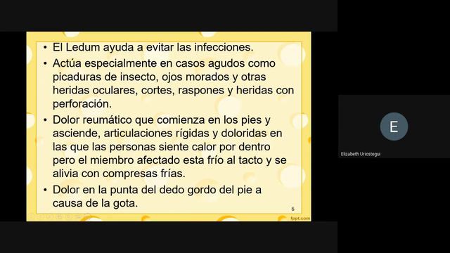 Homeopatía: Ledum palustre смотреть онлайн