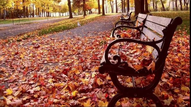 Прекрасная пора! Очей очеровання! смотреть онлайн