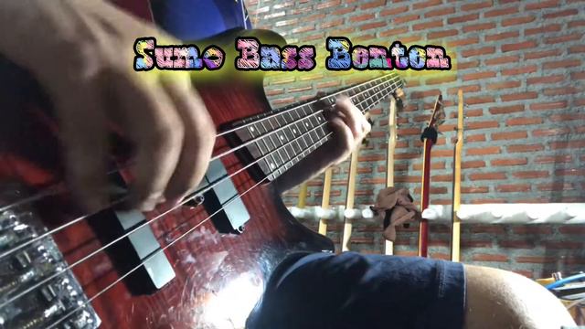 Play that funky music white boy_BassCover By_SumoBassBenten смотреть онлайн